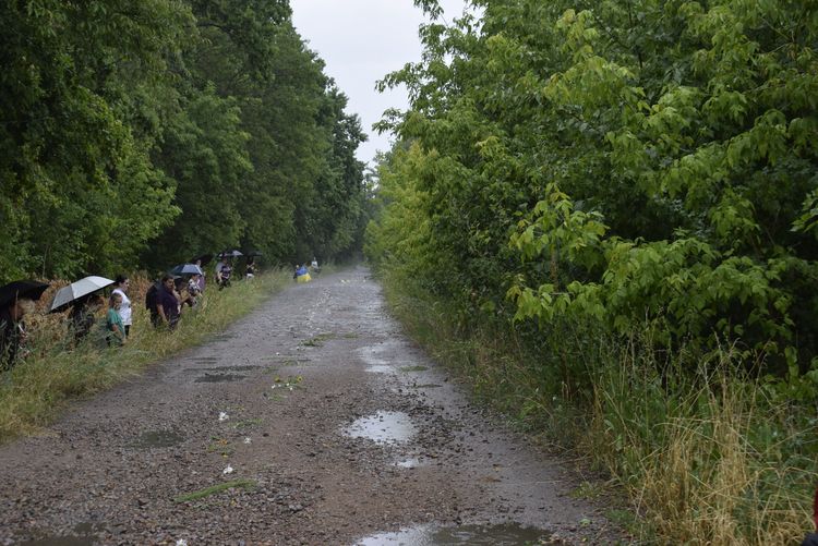 Останній шлях додому