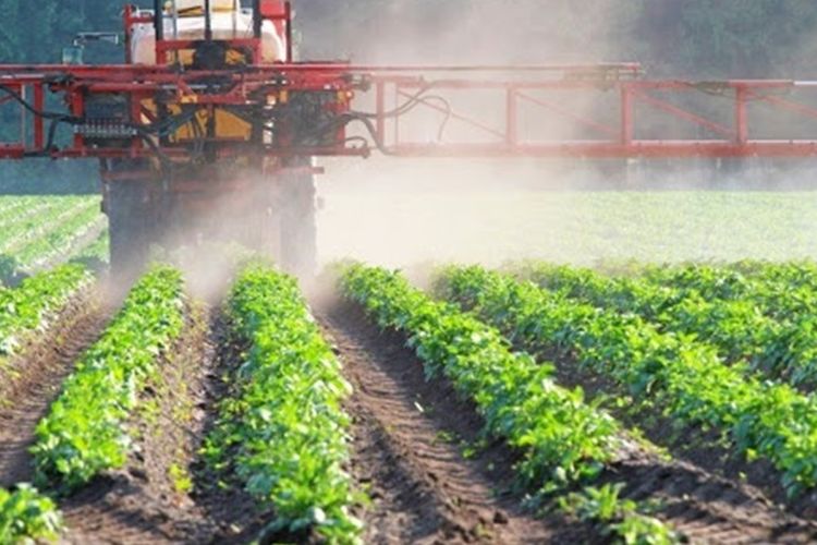 обробіток полів