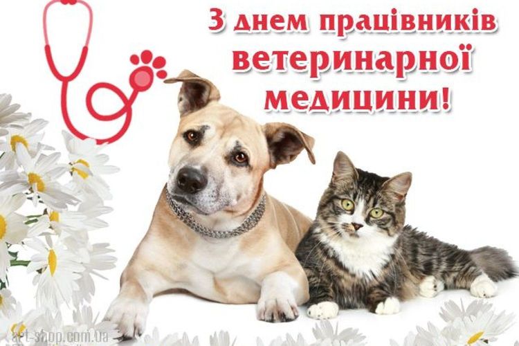 Привітання