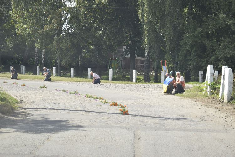 Вулиця стелить квіткові доріжки