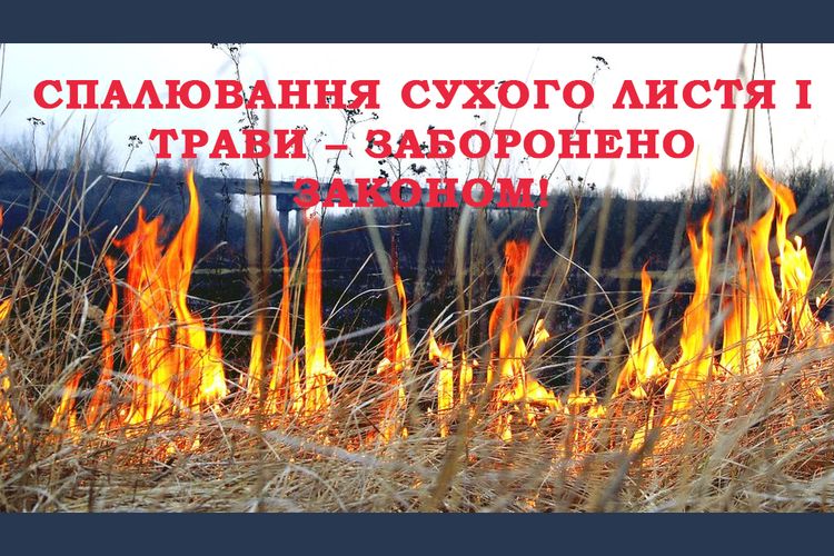 спалювання листя