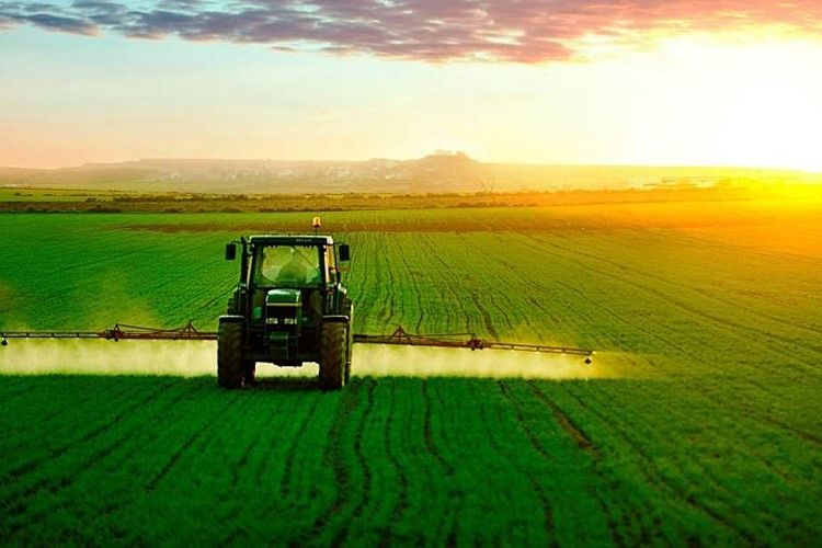 обробіток полів