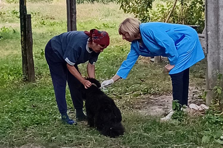день боротьби зі сказом