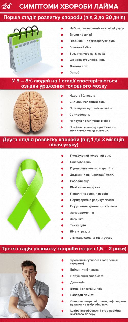 спалах хвороби Лайма