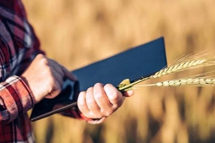 пільгові кредити