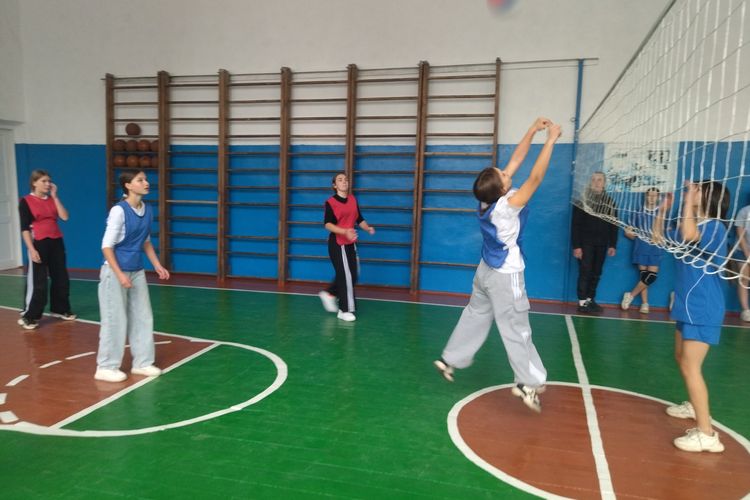 Розпочалися чемпіонати