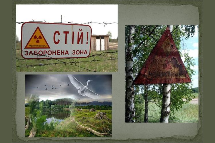 Чорнобильська трагедія