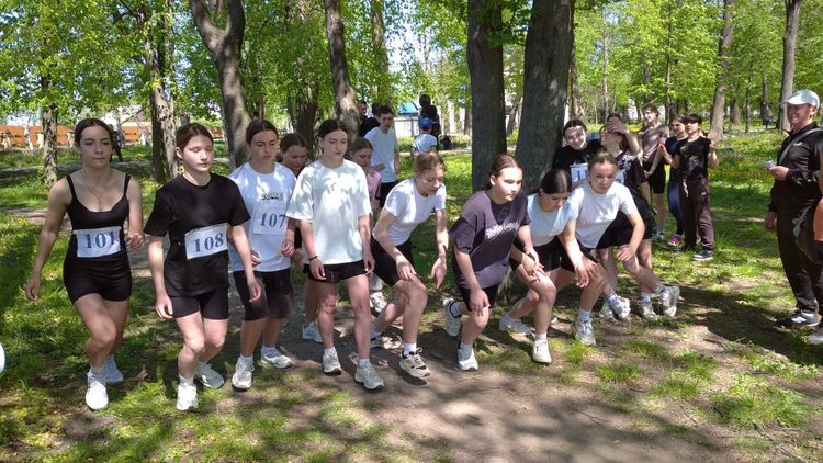 Чемпіонат