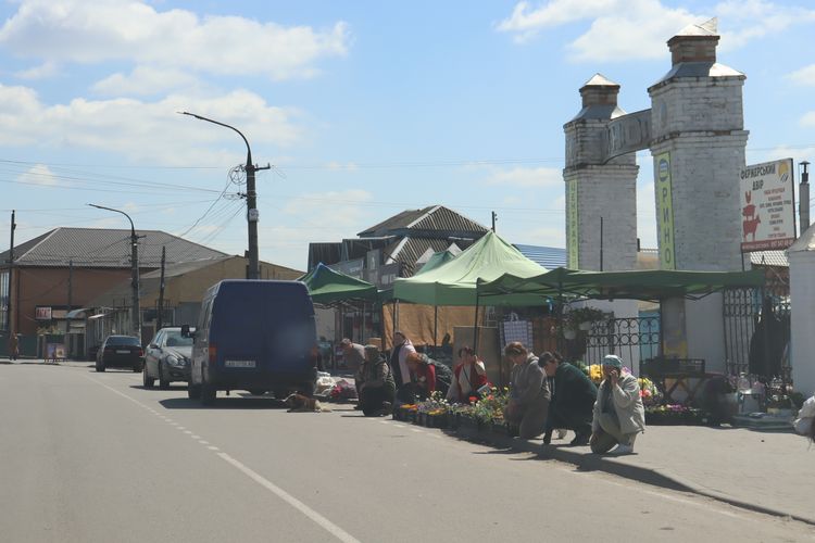 На «щиті»