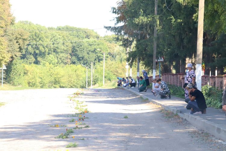 Похорон