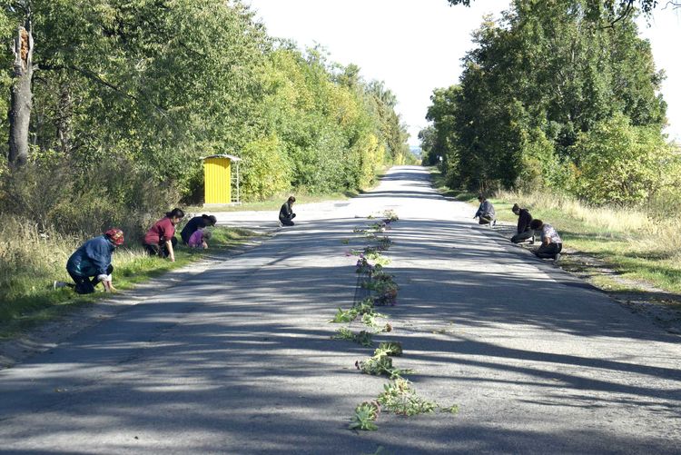 На «щиті»