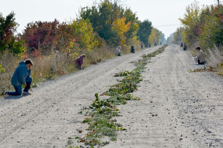 зустріли Героя