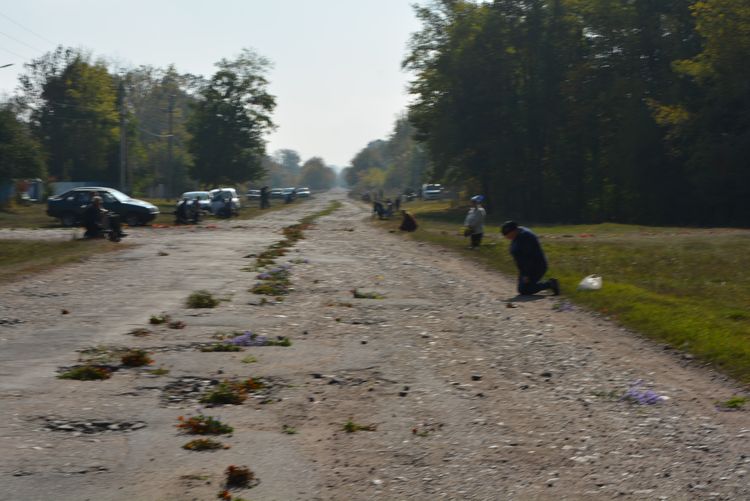 зустріли Героя