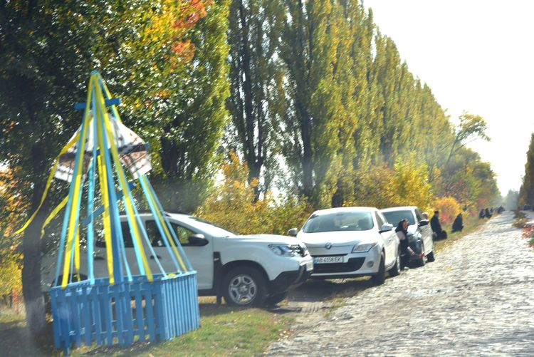 Родино, не плач, не болить вже нічого