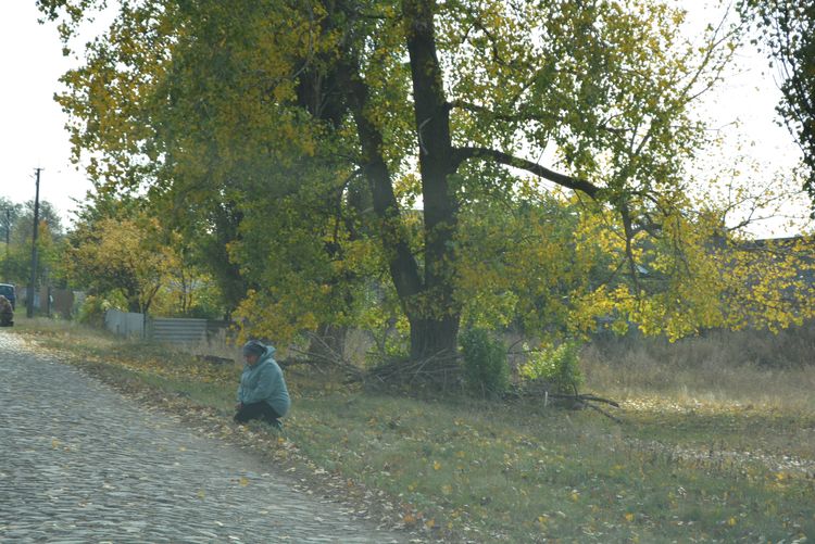 Родино, не плач, не болить вже нічого